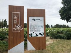 -大莲湖农家乐(青西郊野公园店)