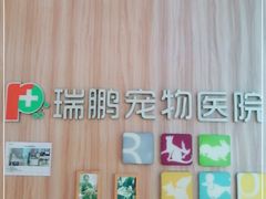 -瑞鹏宠物医院·内科·中兽医·骨科(苗圃店)
