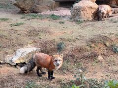 -杭州野生动物世界