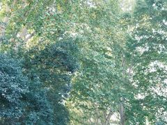 -河南省黄河迎宾馆