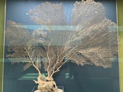 -中国湿地博物馆