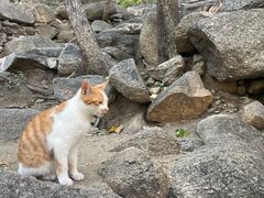 -天津盘山风景名胜区
