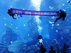 -哈尔滨波塞冬海底世界