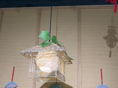 -云中鱼蒸汽石锅鱼(川沙百联店)