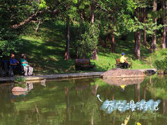 -深圳市中科院仙湖植物园