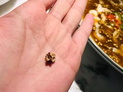 -初蓉丨遇见新川菜(亲贤街荣耀店)