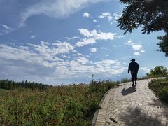 -东郊湿地公园