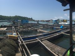 -海上驿站渔家菜馆