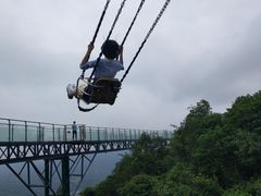 -呀诺达热带雨林