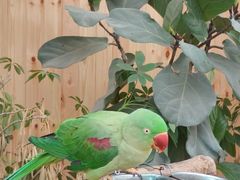 -南宫五洲植物乐园