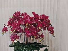 -纯味斑鱼府(上海总店)