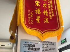 -芭比堂动物医院·心脏科·老年急重症·夜诊·吉雅分院