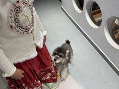 -琪喵猫屋·撸猫猫咖·猫舍