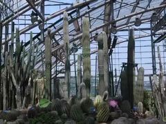 -南山植物园
