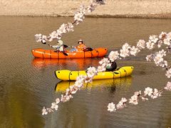 -桃花堤公园