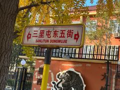 -三里屯东五街银杏大道