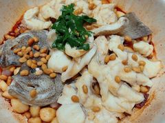 -香然会·园林雅宴(陆家嘴店)