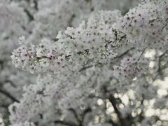 -杭州少年儿童公园
