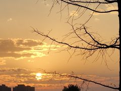 -汉长安城未央宫国家考古遗址公园