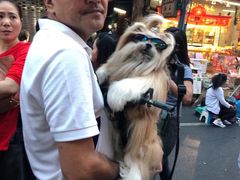 -唐人街(耀华力路)