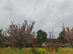 -洪湖家庭农场·团建·露营·会议