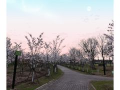 -上海海湾国家森林公园