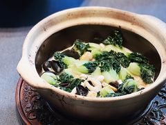 -子福慧(虹桥店)