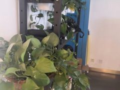 -Bona Fit 伯纳健身超级工作室(车公庄店)