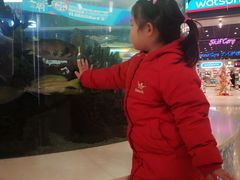 -萌宠奇缘