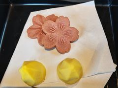 -Hatsune隐泉日式料理(三里屯太古里店)