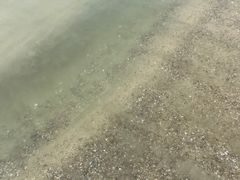 -汕尾风车岛