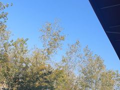 -宝荣鱼馆·临湖之宴(千岛湖店)