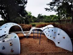 -顺峰山公园