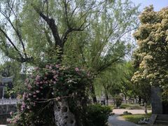 -水绘园