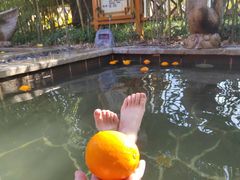 -郑州银基黄帝宫御温泉