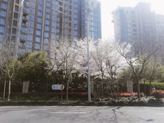 -新江湾城公园