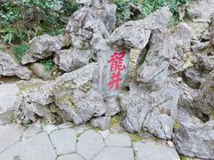 -龙井壹号·茶缘山景宴(龙井村店)