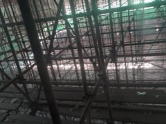 -竞时游泳健身(望京店)