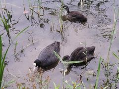 -朝阳公园