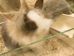 -龙猫仔乐园(惠福东路店)