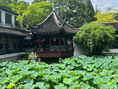 -上海醉白池公园