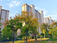 -北龙湖湿地公园