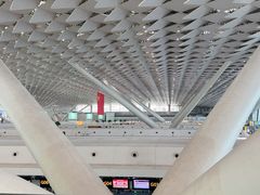 -郑州新郑国际机场-T2航站楼