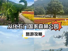 -广州市石门国家森林公园