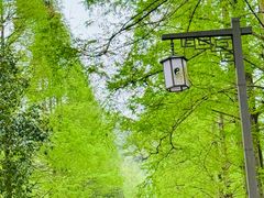 -青城山