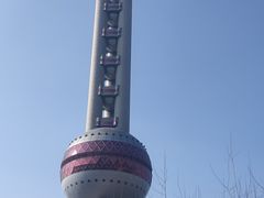 -上海大自然野生昆虫馆(东方明珠·爬宠昆虫探索中心)