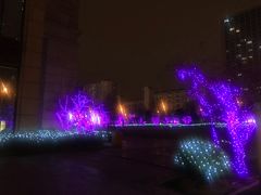 -远洋未来广场(育慧北路店)