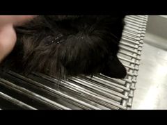 -萌兽医馆·犬猫专科·眼科中心·宠物医院(朝阳门分院)