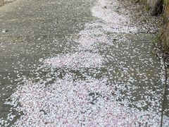 -天津东丽湖风景区