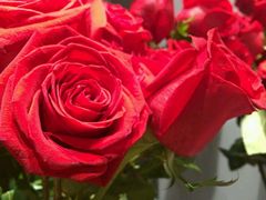 -ROSEONLY诺誓(青岛万象城店)